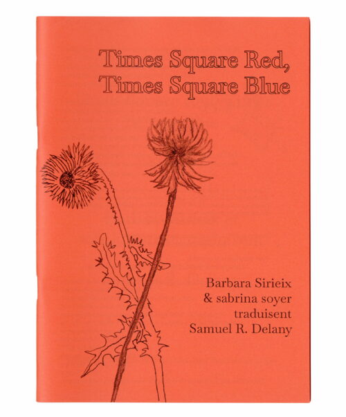 Times Square Red, Times Square Blue, Barbara Sirieix & sabrina soyer traduisent Samuel R. Delany (extraits)